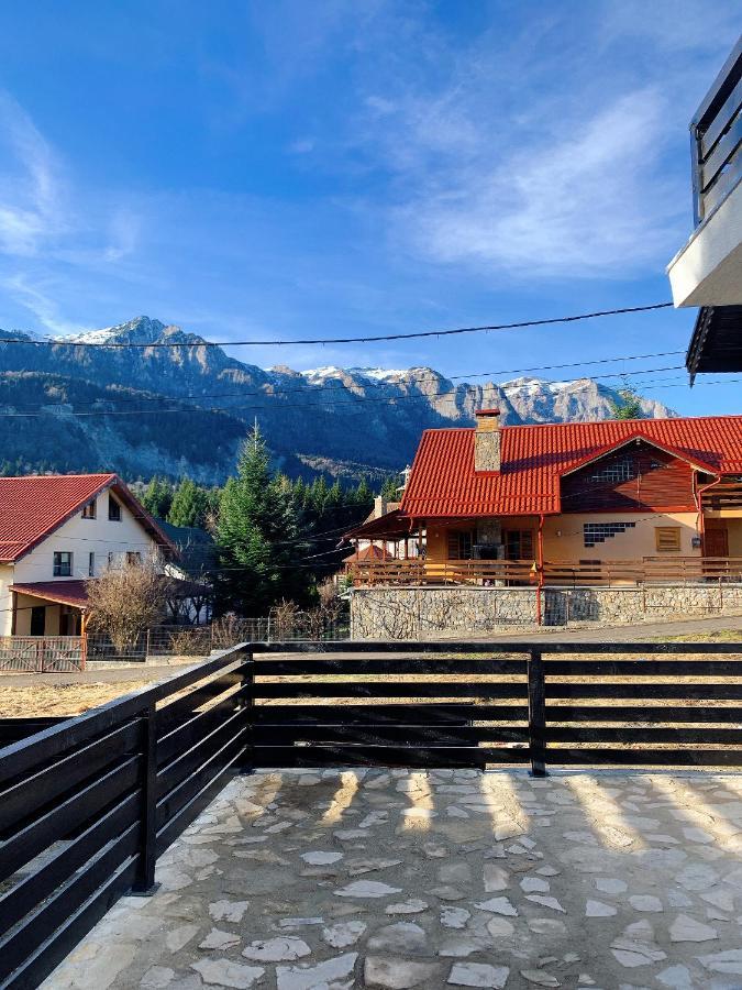 Nordic Chalet Σινάια Εξωτερικό φωτογραφία