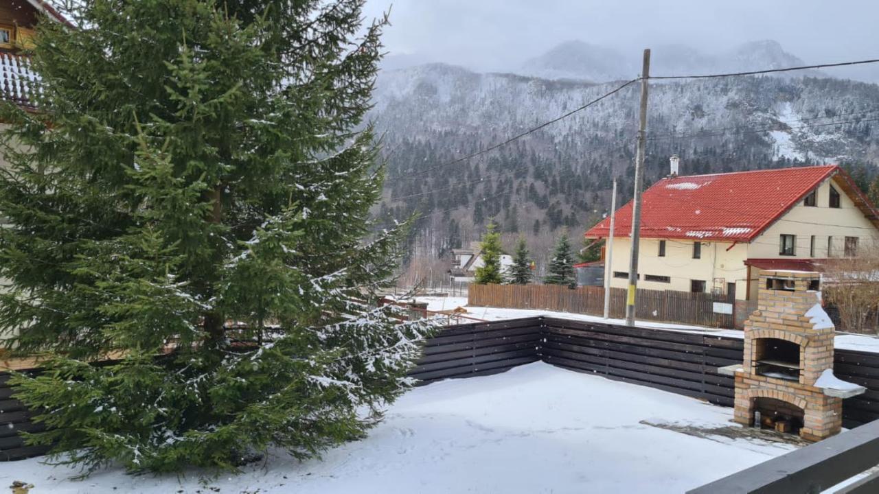 Nordic Chalet Σινάια Εξωτερικό φωτογραφία